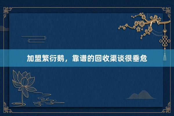 加盟繁衍鹅，靠谱的回收渠谈很垂危