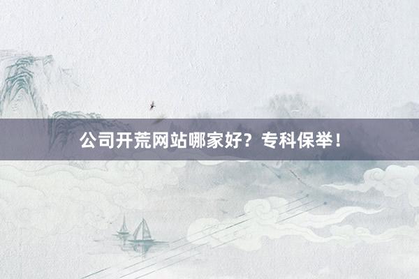 公司开荒网站哪家好？专科保举！