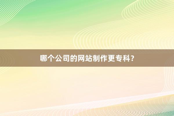 哪个公司的网站制作更专科？