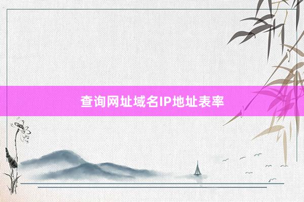 查询网址域名IP地址表率