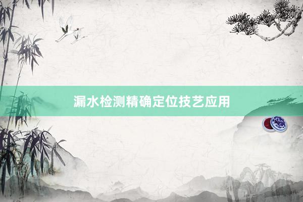 漏水检测精确定位技艺应用