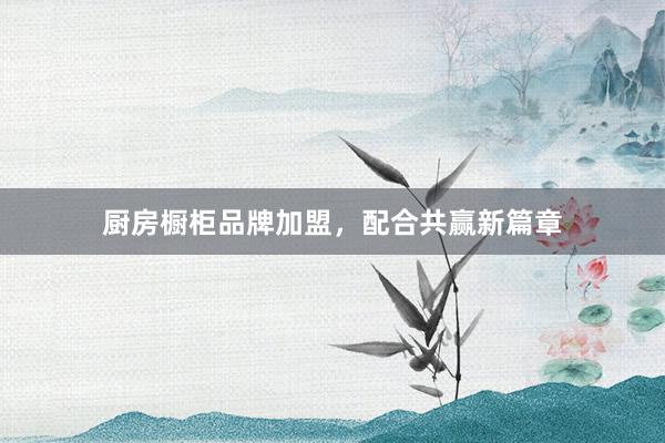 厨房橱柜品牌加盟，配合共赢新篇章
